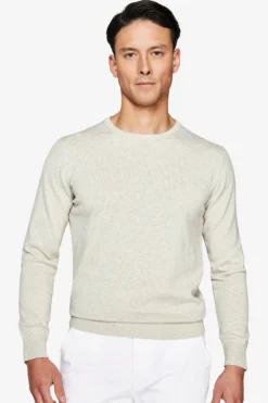 Maglia girocollo basic in cotone grigia