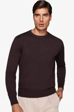 Maglia girocollo basic marrone