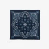 Pochette disegno cashmere avion